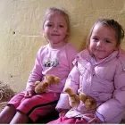 Business 12 image BARCLAYS BANK PLC Banks & Financial Institutions in Coventry We