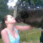 Business 3 image BARCLAYS BANK PLC Banks & Financial Institutions in Surbiton Su