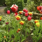 Business 3 image BBC RADIO NORFOLK Broadcasting Services in GREAT YARMOUTH No