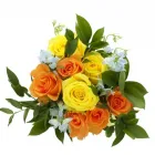 Business 5 image BE MY FLOWER Wedding Flowers in London Gr