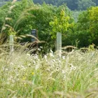 Business 6 image BELL GREEN P.O Post Offices in Coventry We