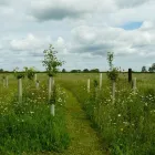 Business 8 image BELL GREEN P.O Post Offices in Coventry We