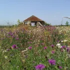 Business 10 image BELL GREEN P.O Post Offices in Coventry We