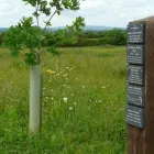 Business 4 image BELL GREEN P.O Post Offices in Coventry We