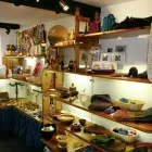 Business 2 image BELL & PARTNERS Vets in Coventry We