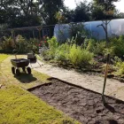 Business 5 image BENITA'S GARDEN SERVICES Tree Services in Ferndown Do