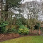 Business 6 image BENITA'S GARDEN SERVICES Tree Services in Ferndown Do