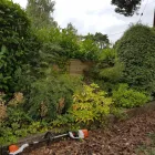 Business 7 image BENITA'S GARDEN SERVICES Tree Services in Ferndown Do