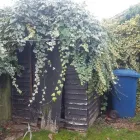 Business 22 image BENTLEYS WASTE SERVICES Waste Management in Nottingham No