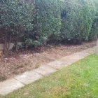 Business 24 image BENTLEYS WASTE SERVICES Waste Management in Nottingham No