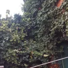 Business 26 image BENTLEYS WASTE SERVICES Waste Management in Nottingham No