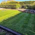 Business 1 image BERKSHIRE TURF DIRECT Home & Garden in Reading Be