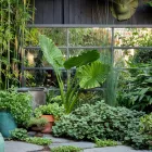 Business 1 image BEST GARDENERS READING Tree Surgeons in Reading Be