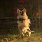 Business 1 image BIGGA IMAGES Picture Framing Services in Banbury Ox