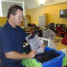 Business 9 image BINLEY WOODS P.O Post Offices in Coventry We