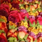 Business 13 image BIPIN DATTANI PHOTOGRAPHY Wedding Services in Pinner Mi