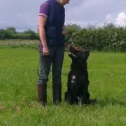 Business 4 image BISTECH PLC Telecommunication Equipment in Ferndown Do