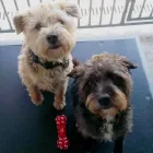 Business 5 image BISTECH PLC Telecommunication Equipment in Ferndown Do