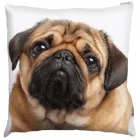 Business 1 image BLACK CAT HOMEWARE SHOP UK Shopping & Retail in Glasgow Glg