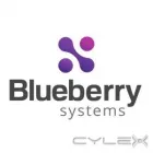 Business 2 image BLUEBERRY CONSULTANTS Software Publishers & Developers in Cheltenham Gl