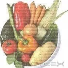 Business 1 image BODYWISE Naturopaths in WIMBORNE Do