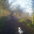 Business 1 image BOLTON CRICKET CLUB Cricket Clubs in Bolton La