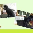 Business 6 image BONMARCHE Ladies Clothes Shops in Coventry We