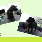 Business 8 image BONMARCHE Ladies Clothes Shops in Coventry We