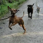 Business 3 image BORE EQUIPMENT LTD Machinery in Wigan La