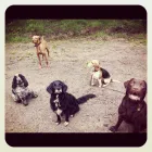 Business 4 image BORE EQUIPMENT LTD Machinery in Wigan La