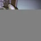 Business 1 image BORE EQUIPMENT LTD Machinery in Wigan La