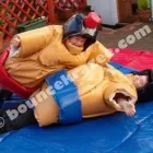 Business 11 image BOUNCE KRAZEE, BOUNCY CASTLE HIRE Toys & Games in High Wycombe Bu