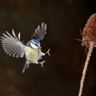 Business 5 image BPD PHOTECH LTD Photographic Services in Warrington Ch