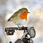 Business 7 image BPD PHOTECH LTD Photographic Services in Warrington Ch