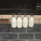 Business 3 image BRIDGETON BOAT CO Stainless Steel Metal Workers in Glasgow La