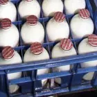 Business 4 image BRIDGETON BOAT CO Stainless Steel Metal Workers in Glasgow La