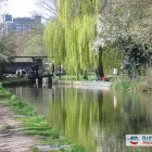 Business 1 image BRITANNIA AIRPORT TRANSFERS Transportation Services in Hounslow Mi