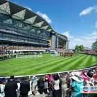 Business 2 image BRITANNIA AIRPORT TRANSFERS Transportation Services in Hounslow Mi