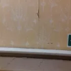 Business 1 image BRITANNIA HOTELS HEAD OFFICE Travel & Tourism in Hale Ch