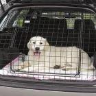 Business 1 image BROOK STREET Recruitment Consultants in Romford Gr