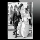 Business 7 image BROWNS BUTCHERS Meat Suppliers in Cheltenham Gl