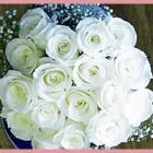 Business 1 image BROWNS THE FLORIST Florists in Gillingham Ke