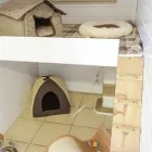 Business 6 image BRYONYHILL CATTERY & CAT GROOMING Pets & Animals in Swindon Wi