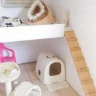 Business 9 image BRYONYHILL CATTERY & CAT GROOMING Pets & Animals in Swindon Wi