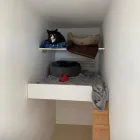 Business 12 image BRYONYHILL CATTERY & CAT GROOMING Pets & Animals in Swindon Wi