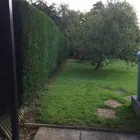 Business 8 image BT-SERVICES Tree Services in Northampton No