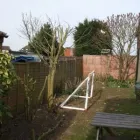 Business 21 image BT-SERVICES Tree Services in Northampton No