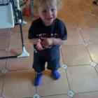 Business 1 image BULL CARPENTRY Carpenters & Joiners in Shefford Be