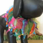 Business 5 image BURDER FILMS Tv in Bournemouth Do