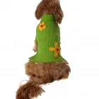 Business 8 image BURDER FILMS Tv in Bournemouth Do